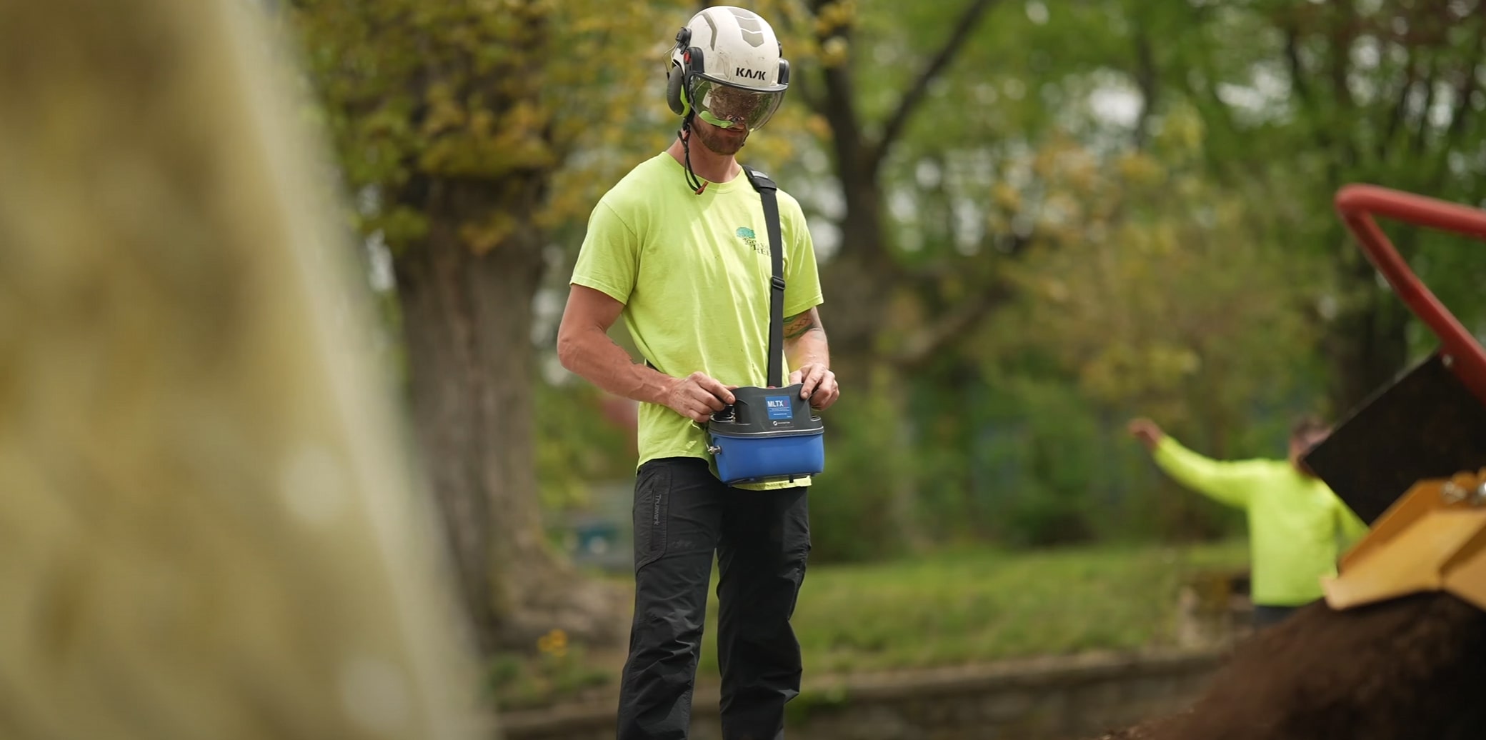 Arborist Consulting in Middletown, CT