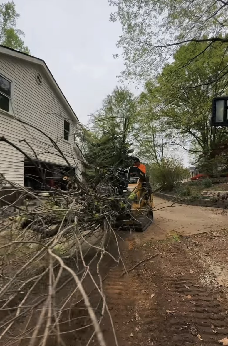 Emergency Tree Services in Middletown, CT