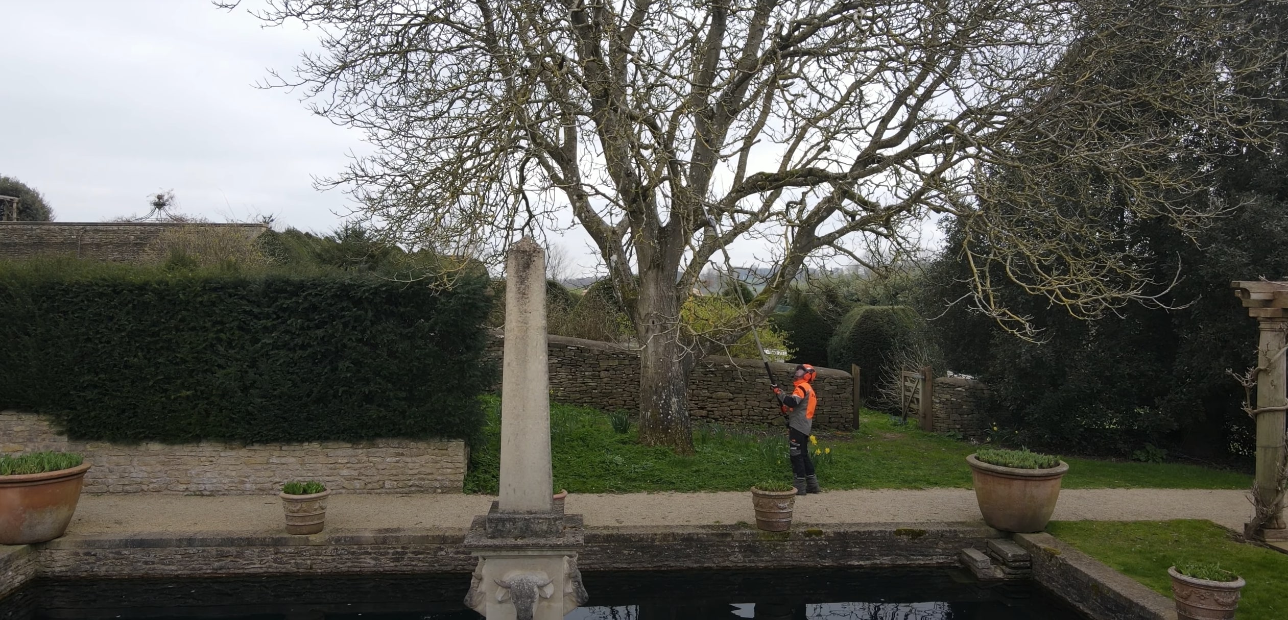 Tree Trimming & Pruning in Middletown, CT